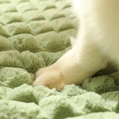 Kimba Hundebett für Unterstützung und Komfort