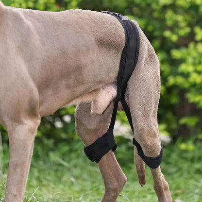 Sparky Unterstützender Stützgürtel Hunde
