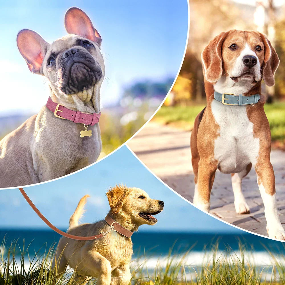 Helga Verstellbares Leder hundehalsband