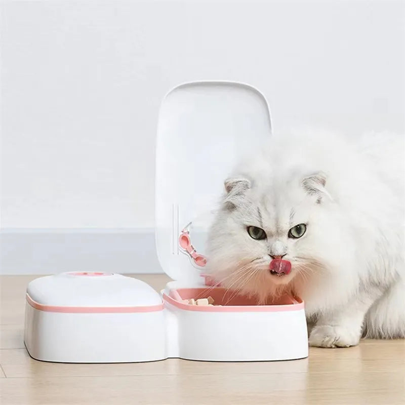 Brian | Futterautomat mit Timer für Katzen und Hunde Portionsgenaue Fütterung