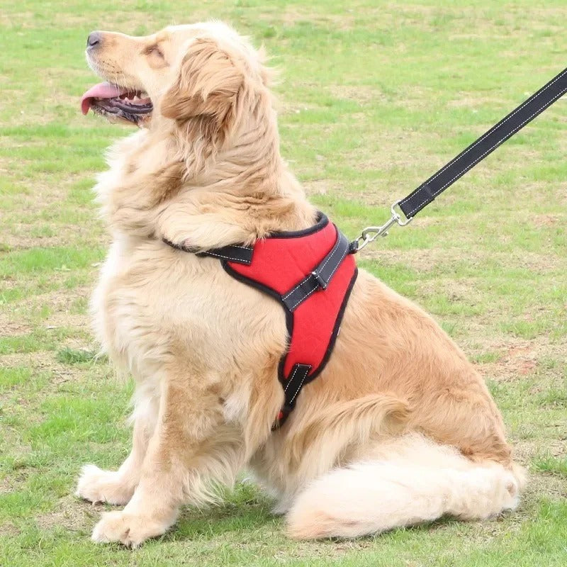 Noah Atmungsaktives Anti-Zug Hundegeschirr