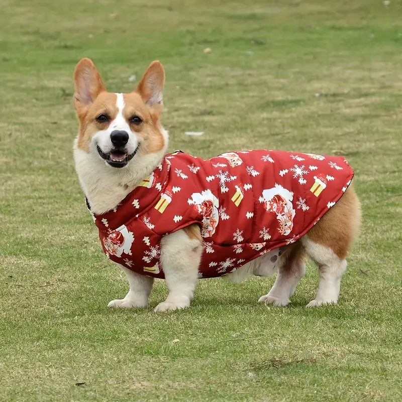 Clary Hundejacke