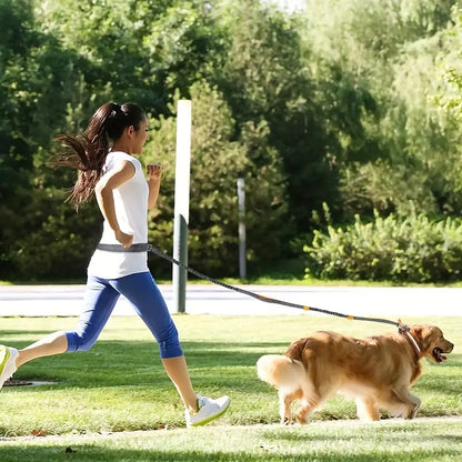 Kevin Hundeleine zum Joggen