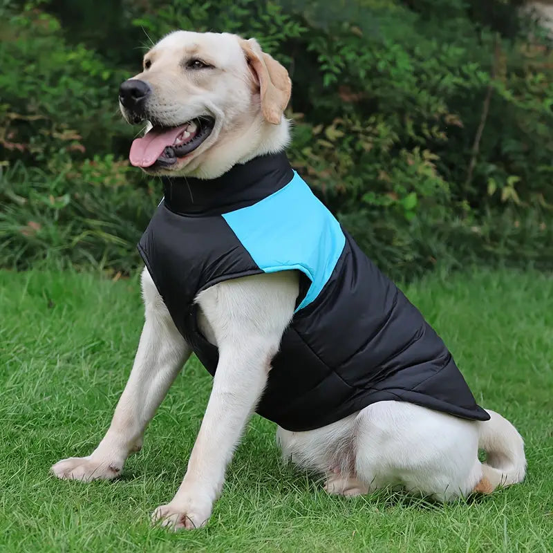 Wolfi Hundemantel