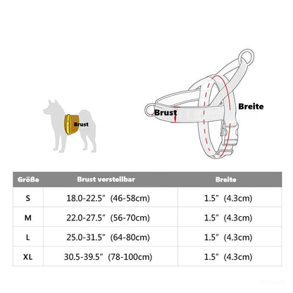 Rainer Hundegeschirr