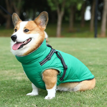 Elia Wasserdichte Hundejacke
