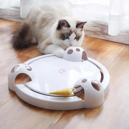 Birke Interaktives Katzenspielzeug