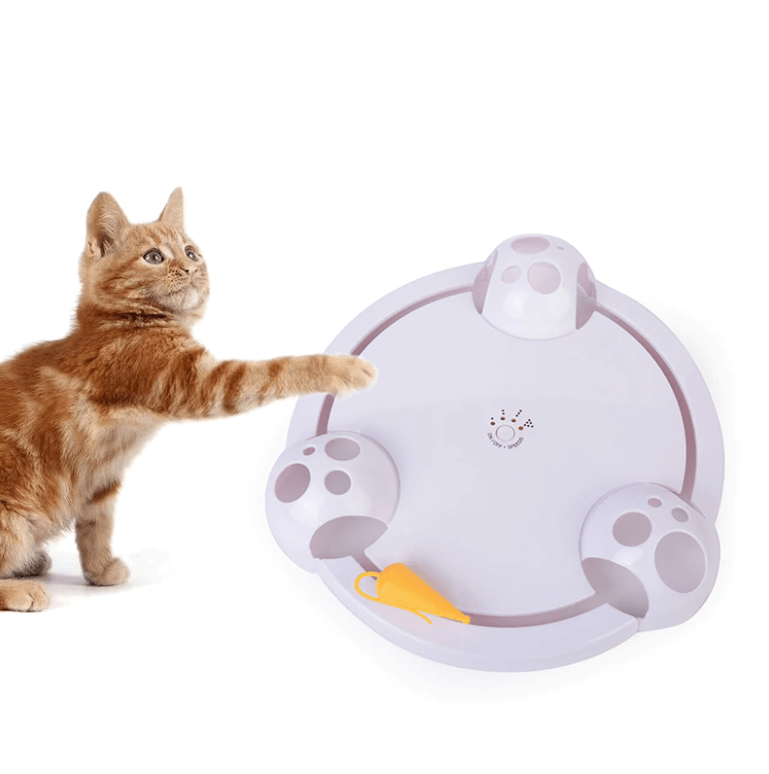 Birke Interaktives Katzenspielzeug