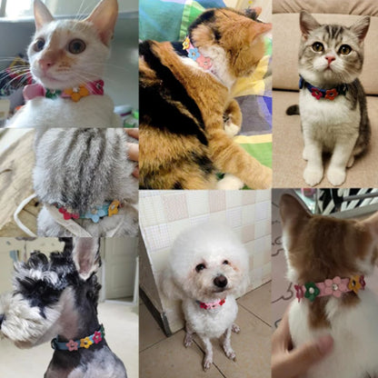 Angie | Stilvolles und sicheres Halsband für Hunde und Katzen