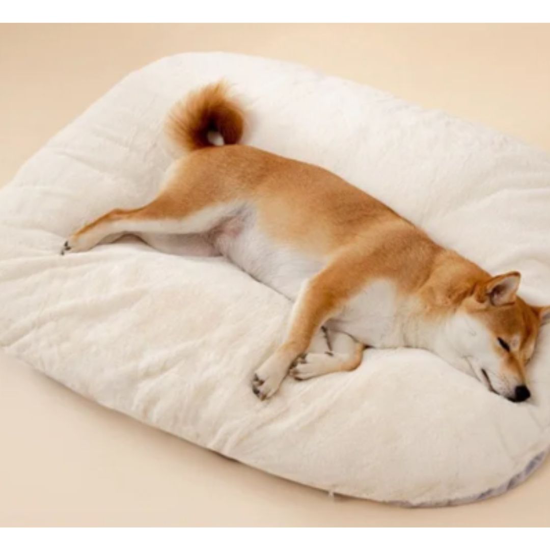Fylo Weiches und kühles gepolstertes Hundebett