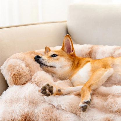 Nikolaus Weiches Hundebett mit Plüschbezug für das Sofa