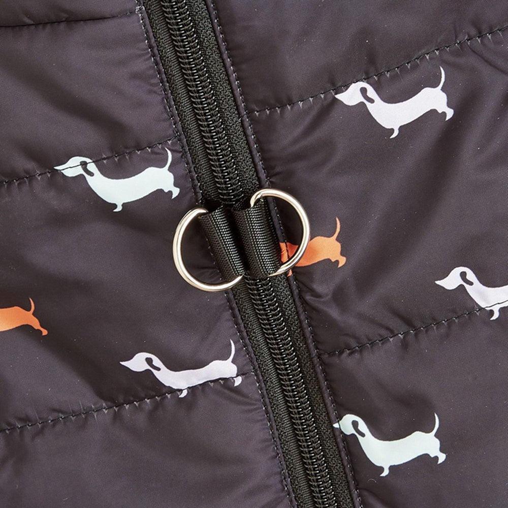 Zorbo Winddichte Hundejacke mit Reißverschluss und Leinenclip