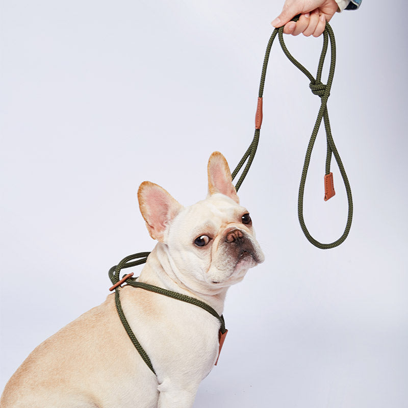 Blade Flexibles Trainingsseil für Hunde