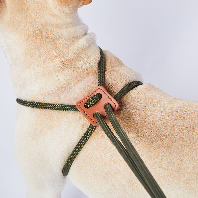 Blade Flexibles Trainingsseil für Hunde