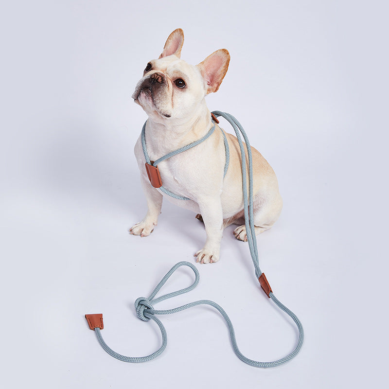 Blade Flexibles Trainingsseil für Hunde