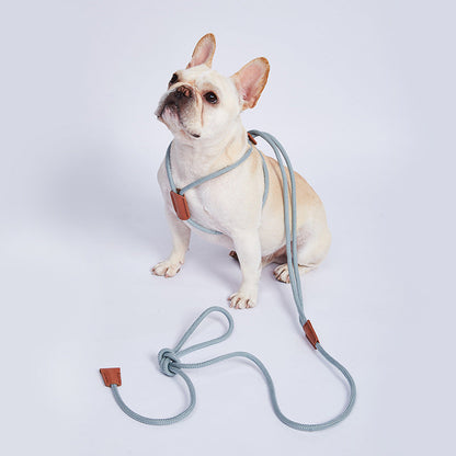 Blade Flexibles Trainingsseil für Hunde