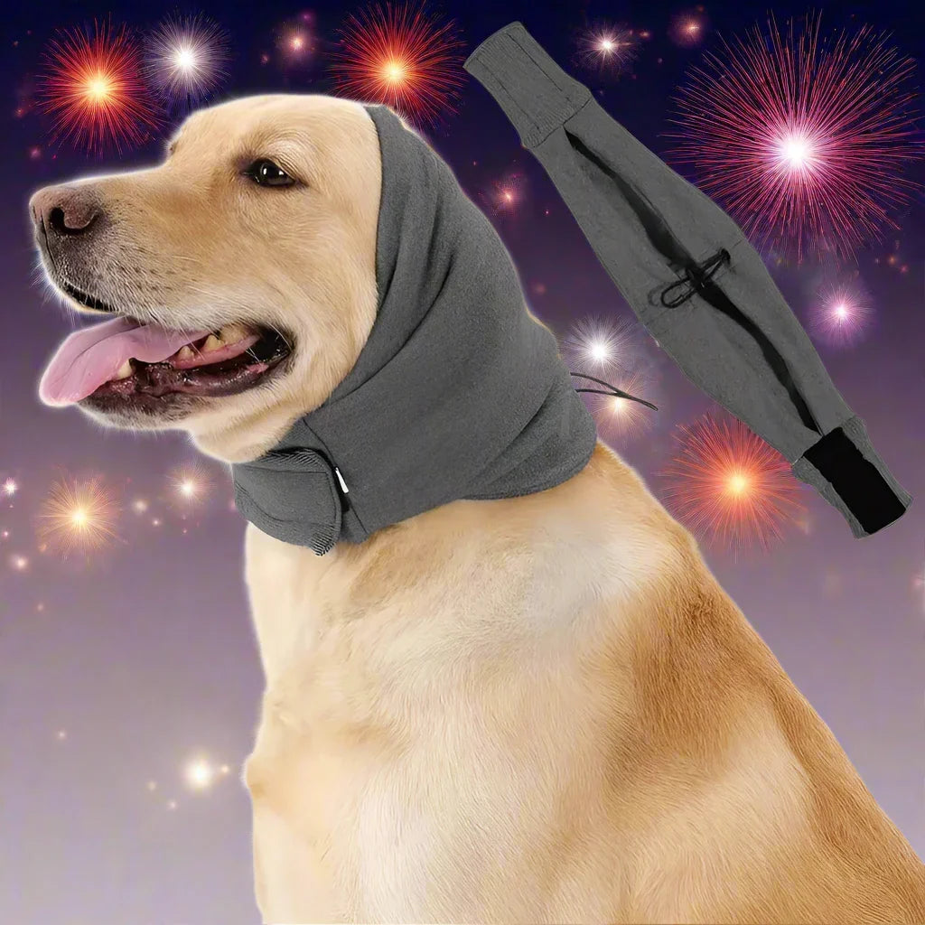 Christa Hunde Ohrenschutz