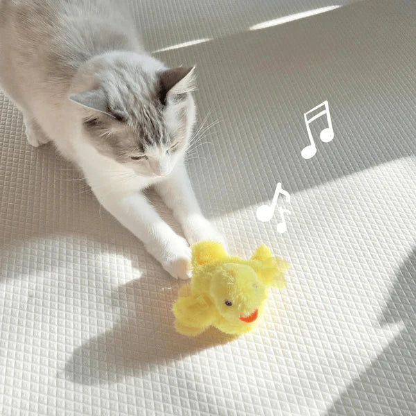 Lucy | Interaktives Enten-Katzenspielzeug