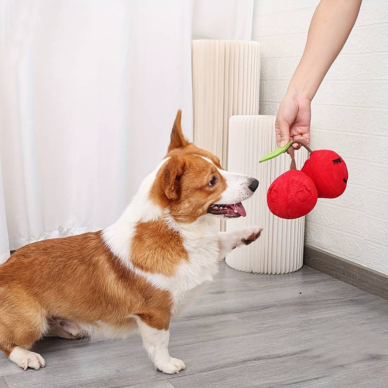 Ellie Interaktives Hundespielzeug