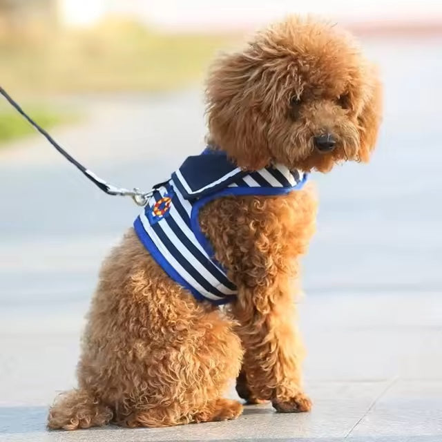 Dieter Stilvolle Hundeleine