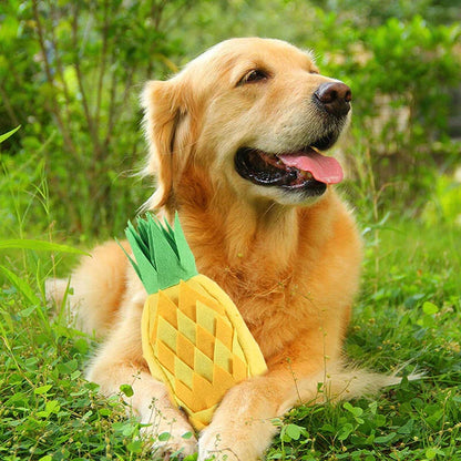 Olly Interaktives Hundespielzeug