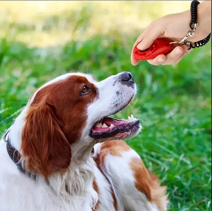 Benno Trainingshilfe für Hunde
