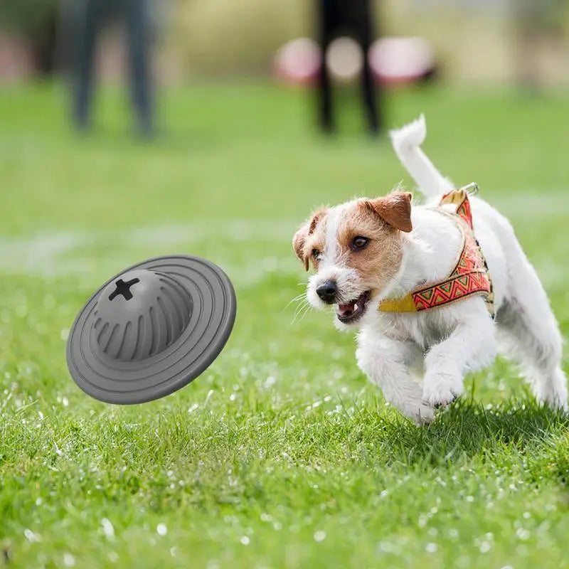 Geist Kauspielzeug hund