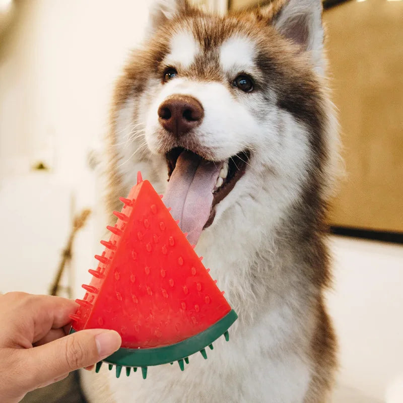 Caro Kühlendes Hundespielzeug
