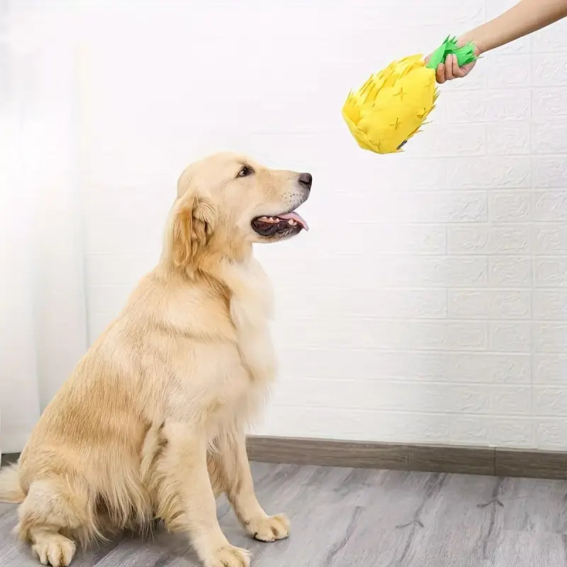 Olly Interaktives Hundespielzeug