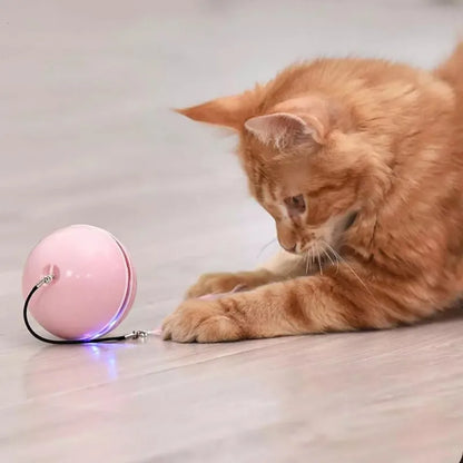 Cleo Automatischer Spielball für Katzen und Hunde