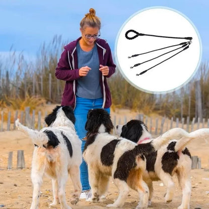 Titan Hundeleine für mehrere Hunde