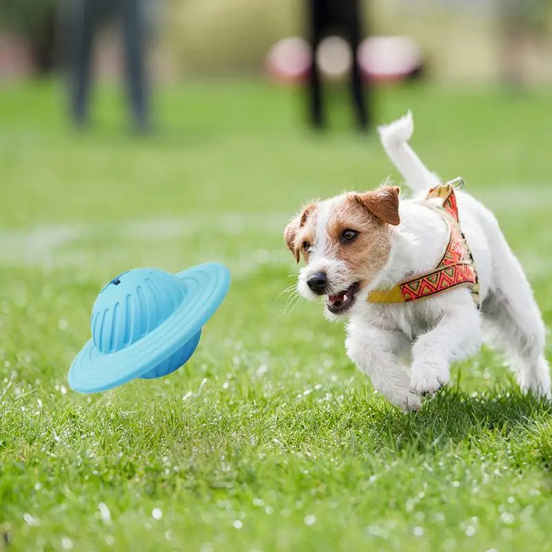 Geist Kauspielzeug hund