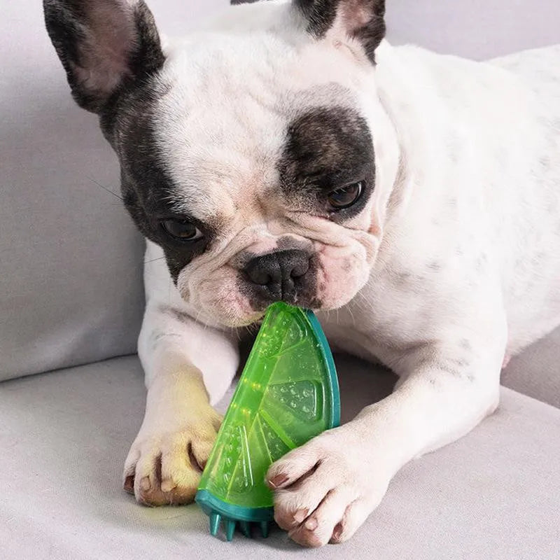 Caro Kühlendes Hundespielzeug