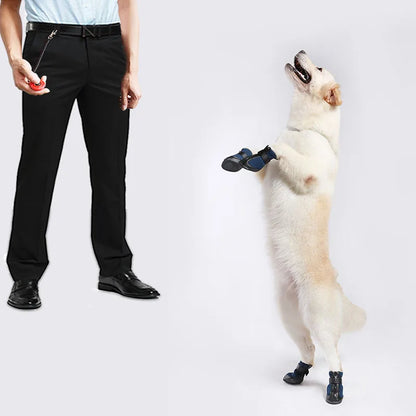 Benno Trainingshilfe für Hunde