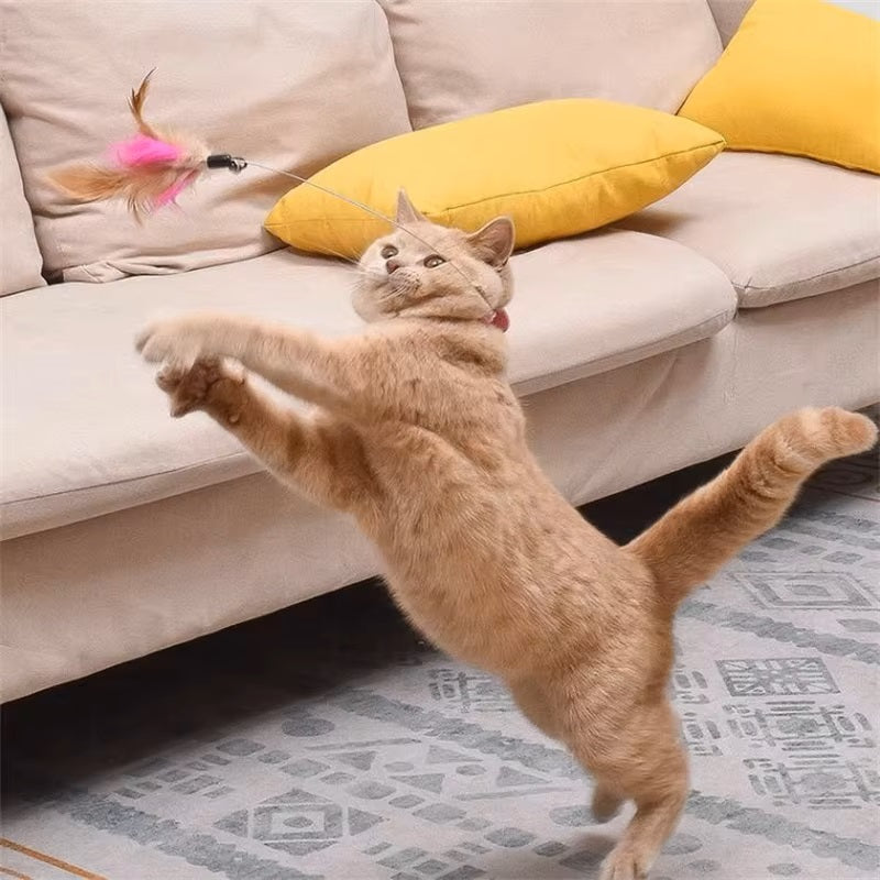 Sophie Interaktives Spiel Halsband für Katzen