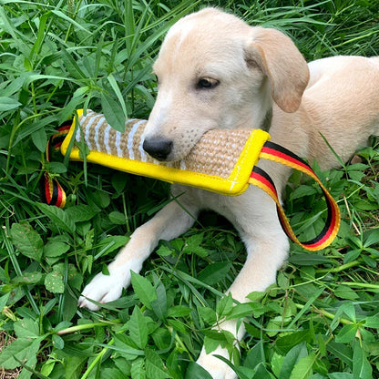 Alfons Jute Beißrolle für Hunde