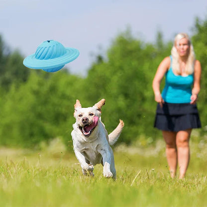 Geist Kauspielzeug hund
