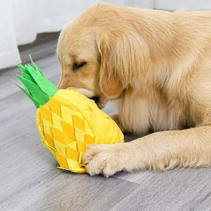 Olly Interaktives Hundespielzeug