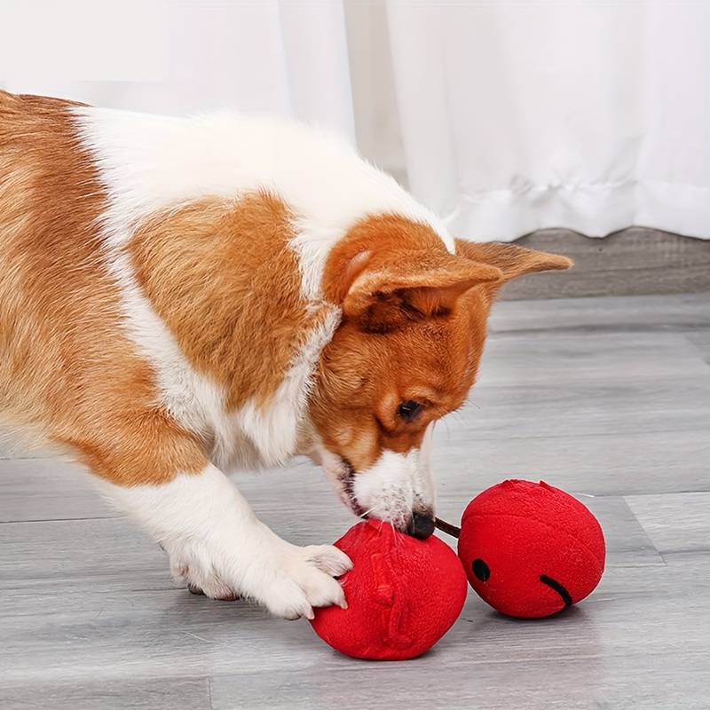 Ellie Interaktives Hundespielzeug