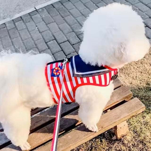 Dieter Stilvolle Hundeleine