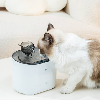 Poppy Leiser Trinkbrunnen für Haustiere