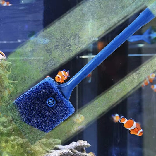 Dory | Glasreiniger für ein Helles Aquarium