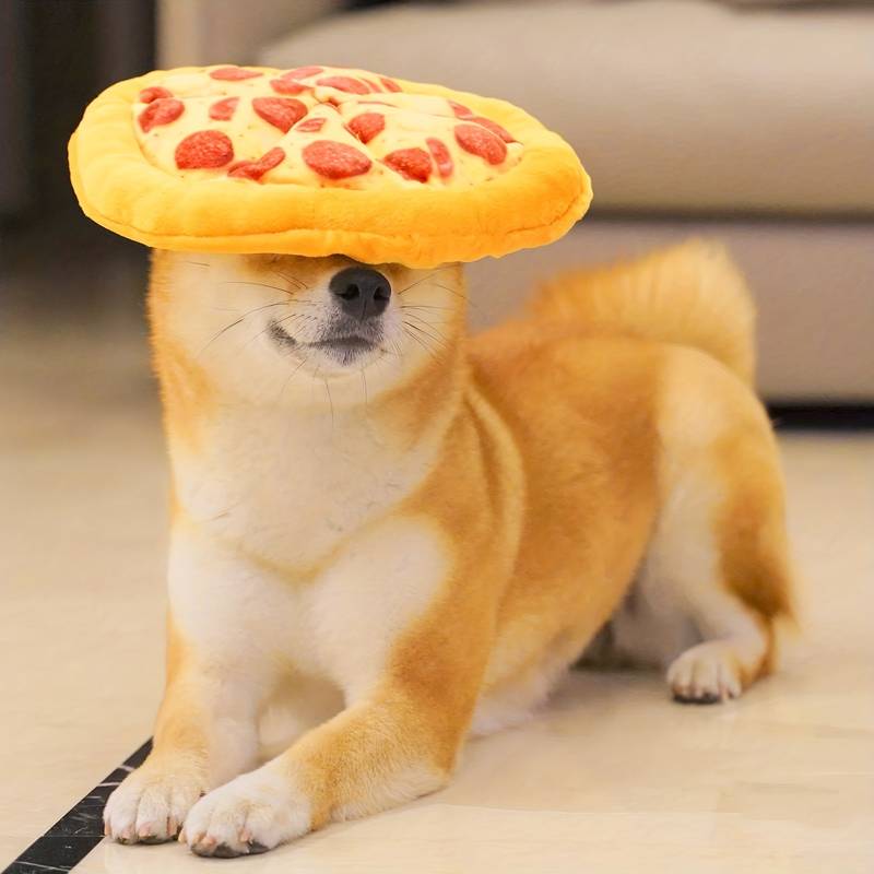 Funghi Kauspielzeug für Hunde