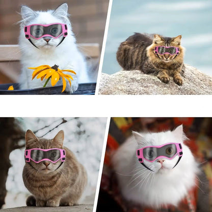 Jack | Hundebrille gegen Schmutz