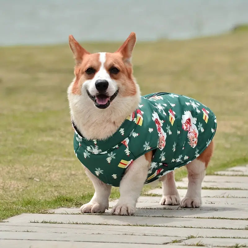 Clary Hundejacke