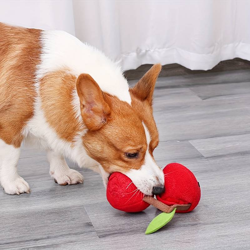 Ellie Interaktives Hundespielzeug