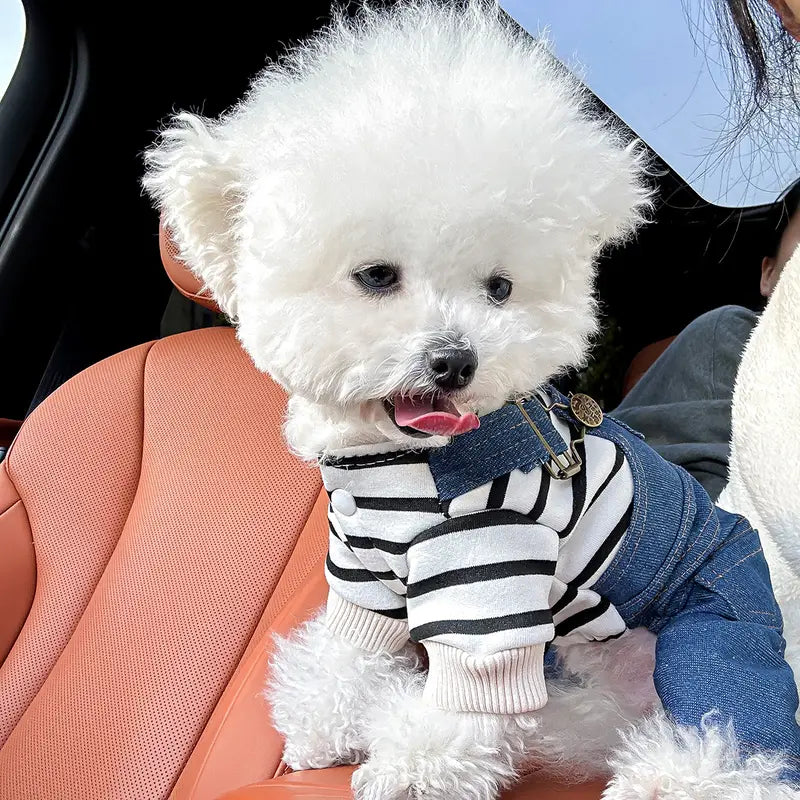 Dina Denim-Hundejacke