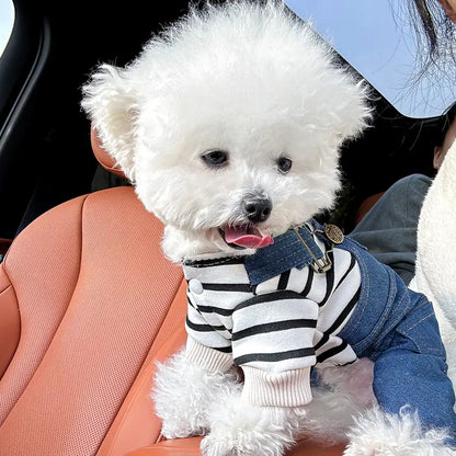 Dina Denim-Hundejacke