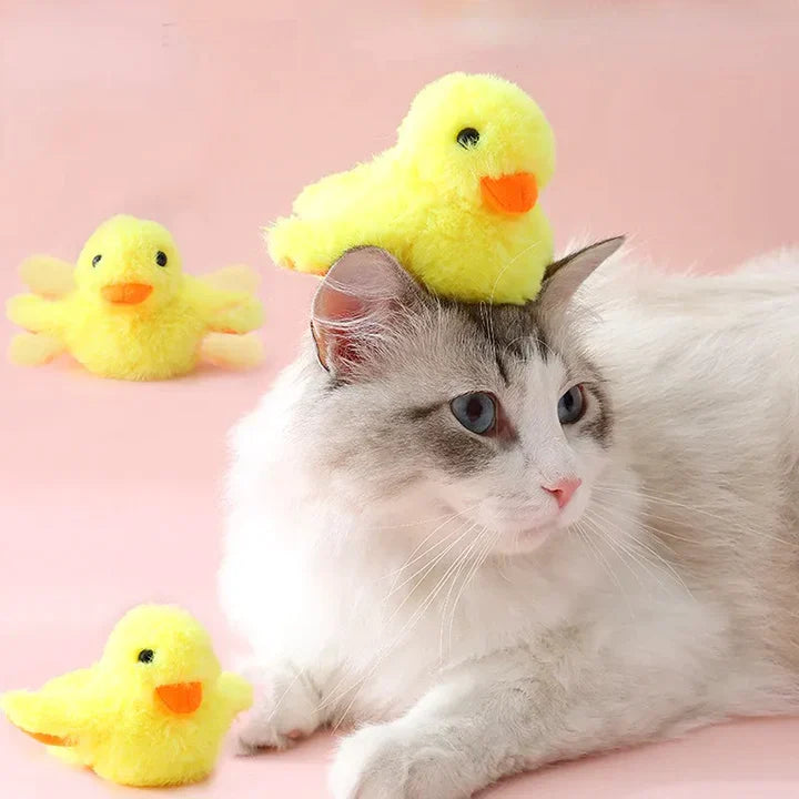 Lucy | Interaktives Enten-Katzenspielzeug