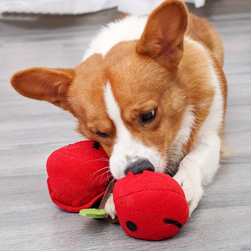 Ellie Interaktives Hundespielzeug